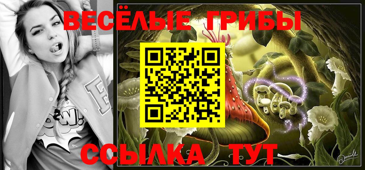 Псилоцибиновые грибы ЛСД  Псилоцибиновые грибы MAGIC MUSHROOMS  Вход с VPN  дарнет шоп  Луга 