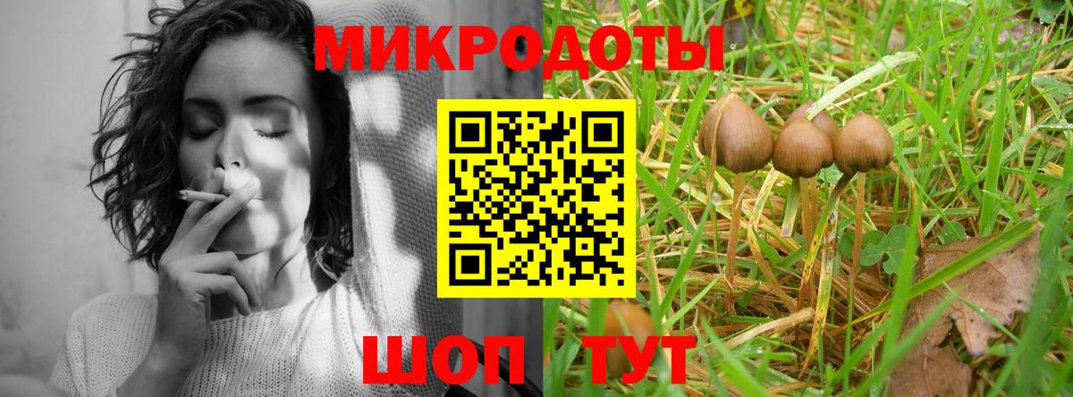 Галлюциногенные грибы GOLDEN TEACHER Луга